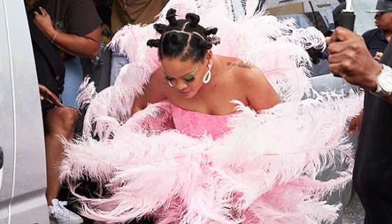 rihanna pink feathers