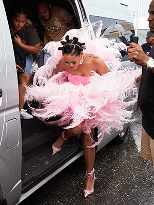 rihanna pink feathers