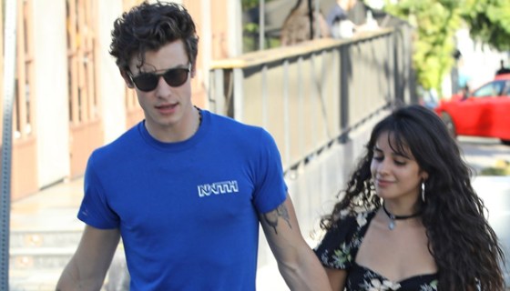 Shawn Mendes and Camila Cabello