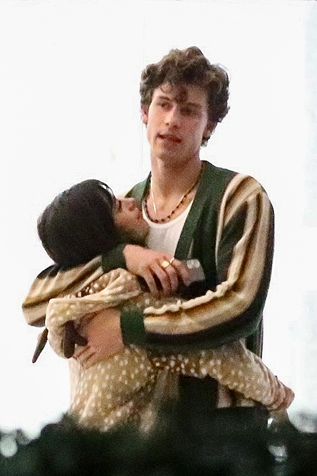 Shawn Mendes, Camila Cabello