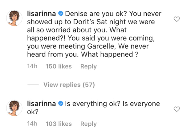 lisa rinna message denise richards