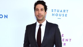 david schwimmer