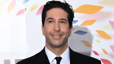 David Schwimmer