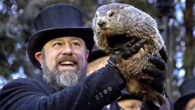 punxsutawney phil