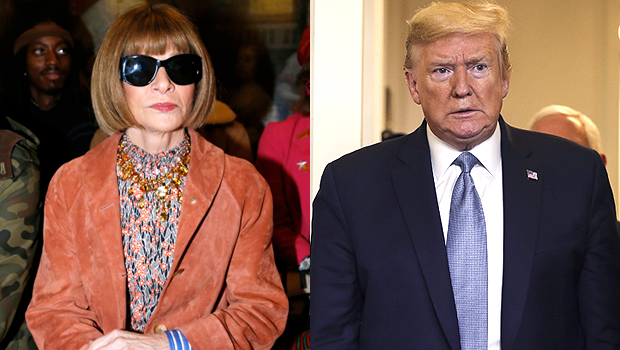 Anna Wintour Donald Trump