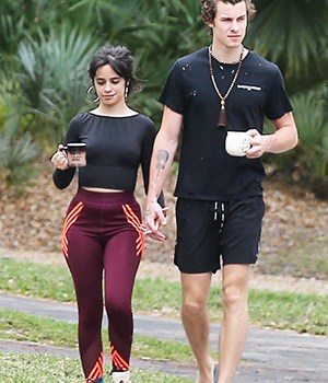 camila cabello shawn mendes