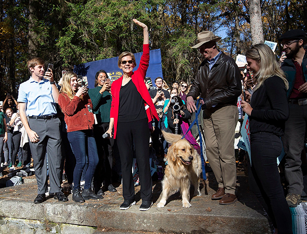 Elizabeth Warren and dog Bailey