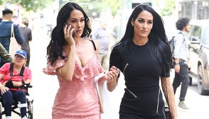 nikki bella brie bella