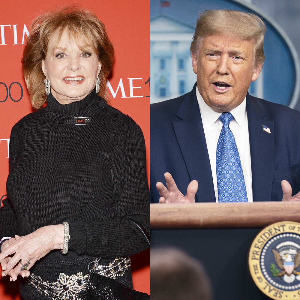 barbara-walters-donald-trump-old-video-resurfaced-gallery