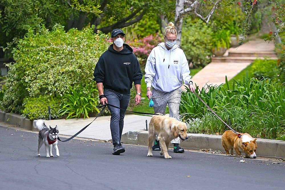 *EXCLUSIVE* Joe Jonas and Sophie Turner take their pooches for a walk