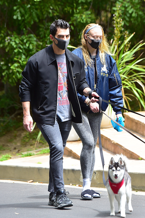 Joe Jonas & Sophie Turner walking their dogs