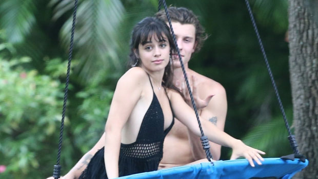 Camila Cabello, Shawn Mendes