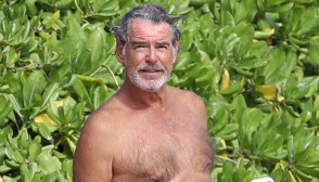pierce brosnan