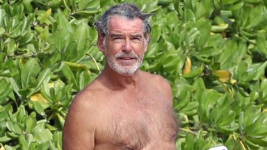 pierce brosnan