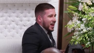 Vinny Guadagnino