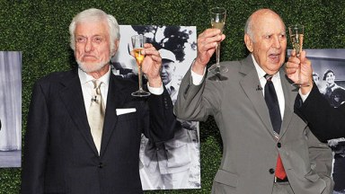 dick van dyke, carl reiner