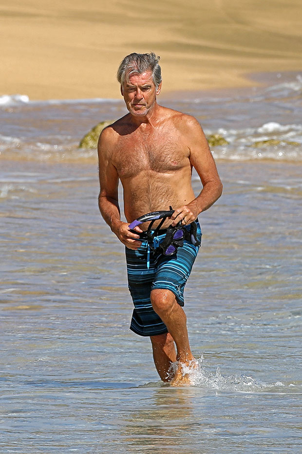 Pierce Brosnan