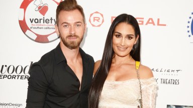 artem chigvintsev nikki bella