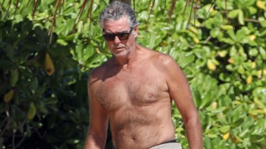 Pierce Brosnan