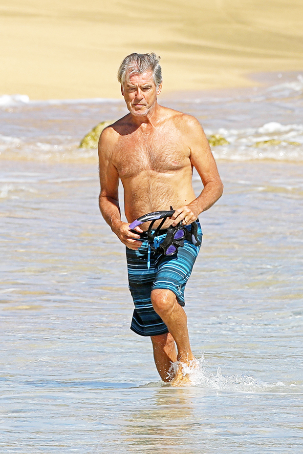 Pierce Brosnan