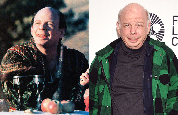 Wallace Shawn