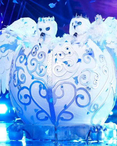 THE MASKED SINGER: The Snow Owls in the “The Group A Finals – The Masked Frontier” episode of THE MASKED SINGER airing Wednesday, Nov. 11 (8:00-9:00 PM ET/PT) on FOX. © 2020 FOX MEDIA LLC. CR: Michael Becker/FOX.