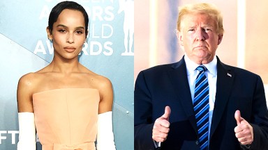 Zoe Kravitz Donald Trump