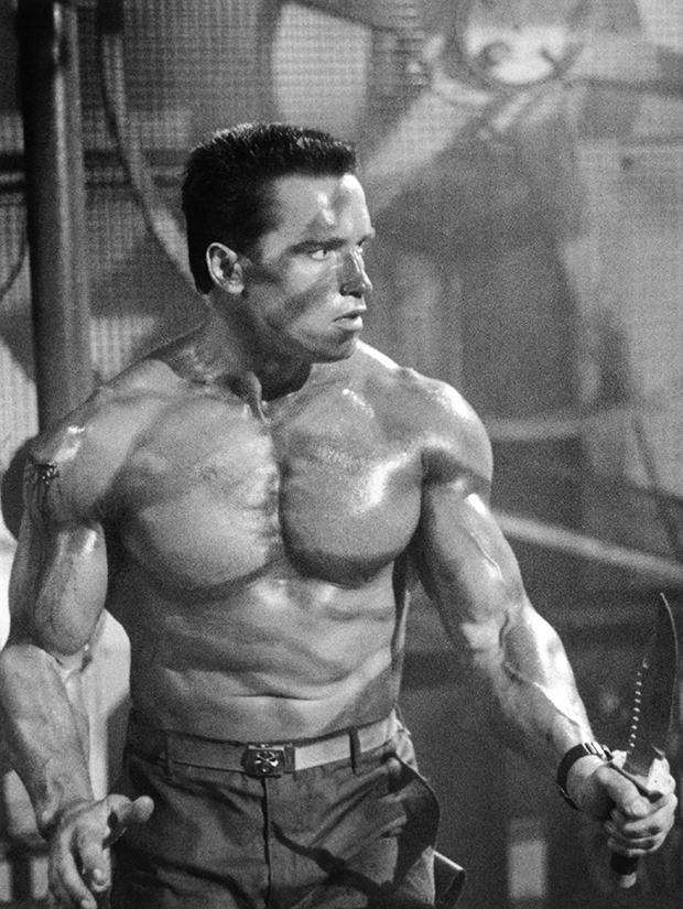 arnold schwarzenegger