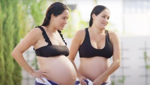 Nikki Bella, Brie Bella