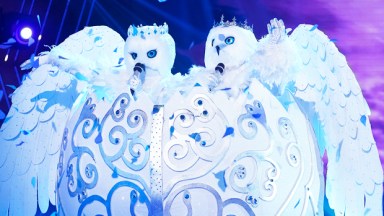 Snow Owls