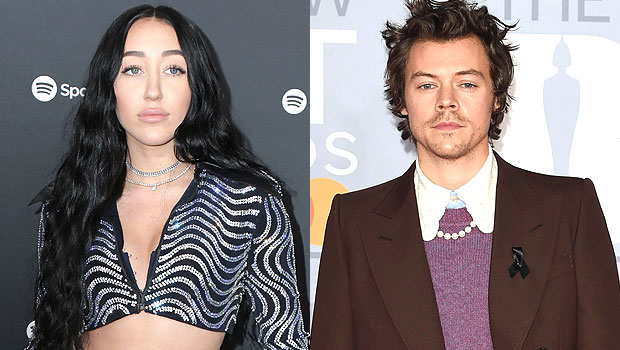 Noah Cyrus, Harry Styles