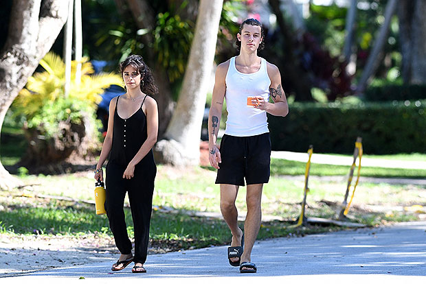 Camila Cabello and Shawn Mendes