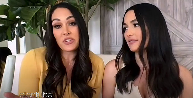 Brie Bella, Nikki Bella