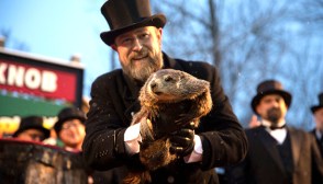 punxsutawney phil