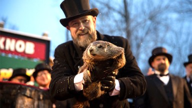 punxsutawney phil