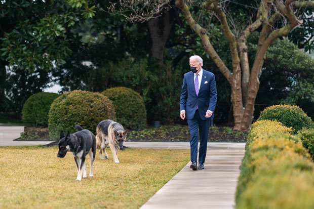 Joe Biden and his dogs