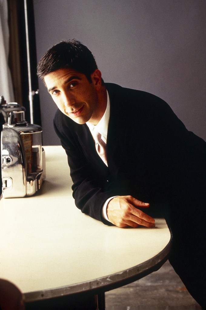 David Schwimmer Poses for a Photo