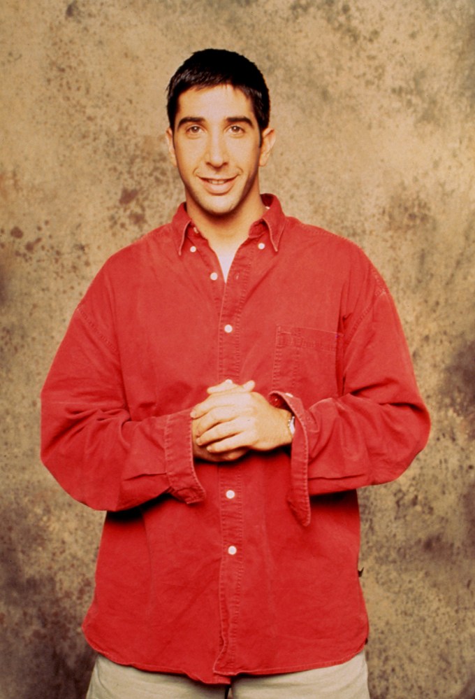 David Schwimmer as Ross Geller