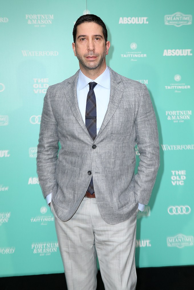 David Schwimmer at the Old Vic Summer Gala