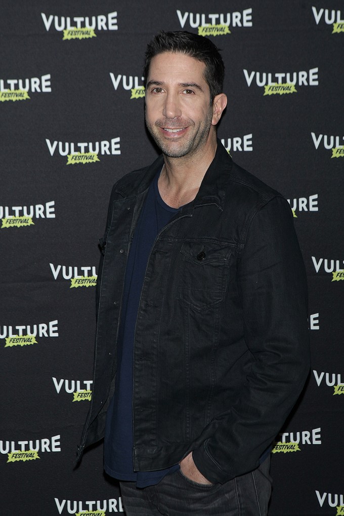 David Schwimmer at Vulture Festival