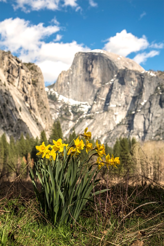 Yosemite National Park