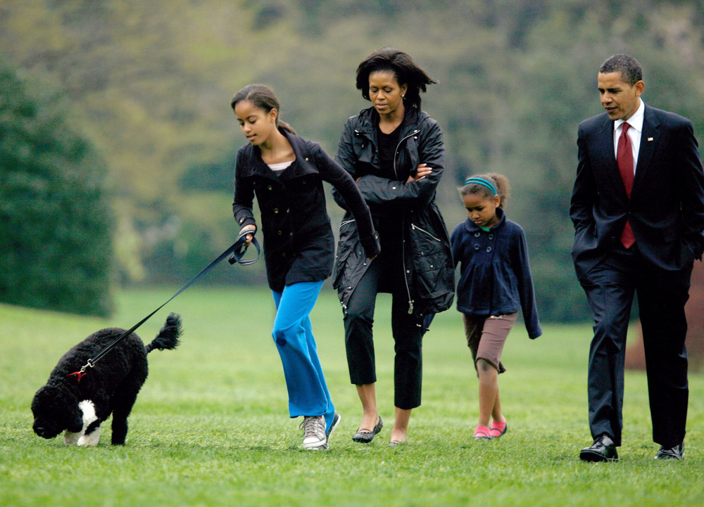 Bo the new White House dog, Washington, America - 14 Apr 2009