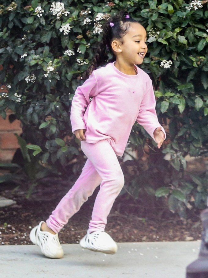 Chicago West enjoys a day in the park