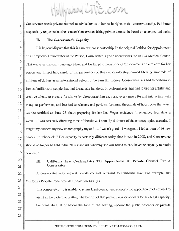 Lynne Spears court docs