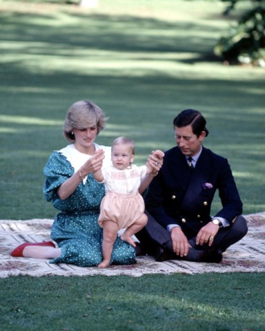 Princess Diana and Prince Charles with Prince William in the grounds of Government House, Auckland
British royalty on a royal tour of New Zealand - Apr 1983