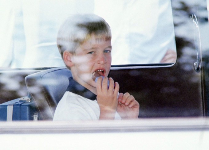 Prince William (1989)