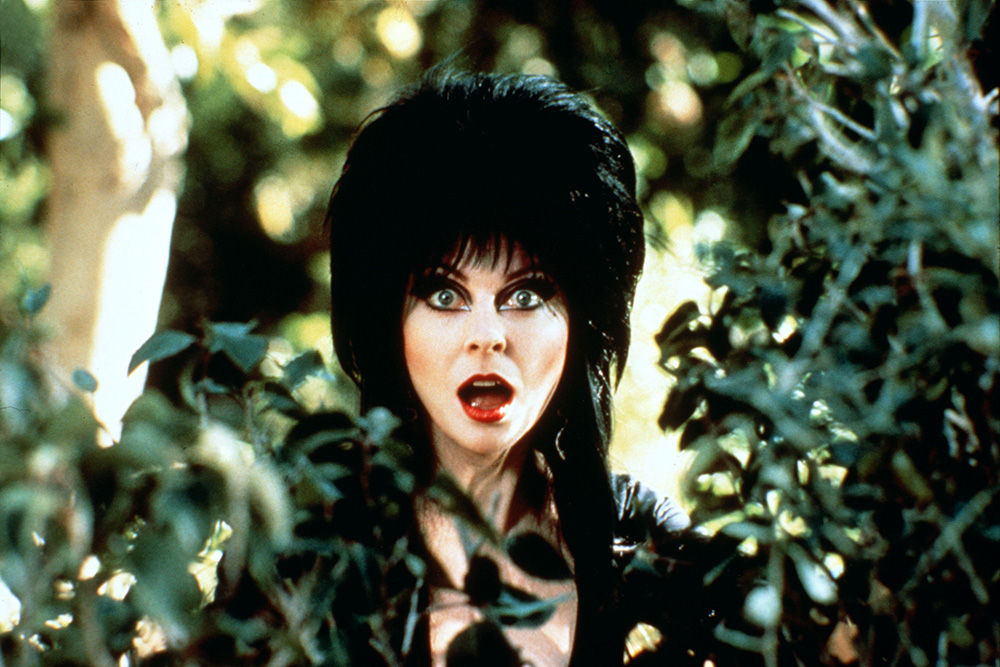 Editorial use only. No book cover usage.
Mandatory Credit: Photo by Nbc/New World/Kobal/Shutterstock (5872765e)
Cassandra Peterson
Elvira - Mistress Of The Dark - 1988
Director: James Signorelli
NBC/New World
USA
Scene Still
Elvira, princesse des ténèbres