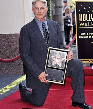 Mark Harmon