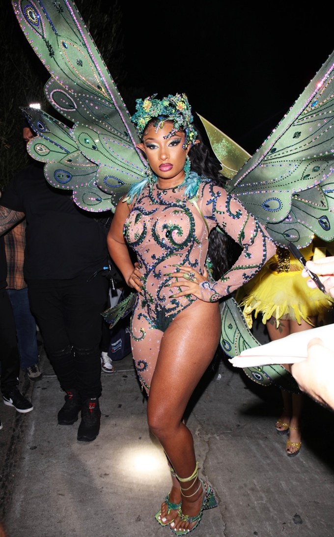 Megan Thee Stallion as a Butterfly