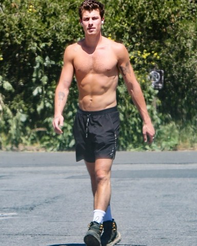 Hollywood, CA  - *EXCLUSIVE*  - Shirtless singer Shawn Mendes shows off his fit physique during a sun soaked hike through the Hollywood Hills.

Pictured: Shawn Mendes 

BACKGRID USA 21 APRIL 2023 

USA: +1 310 798 9111 / usasales@backgrid.com

UK: +44 208 344 2007 / uksales@backgrid.com

*UK Clients - Pictures Containing Children
Please Pixelate Face Prior To Publication*